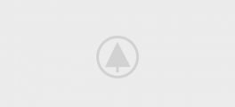 wood-gallery-placeholder-2
