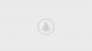 wood-gallery-placeholder-3