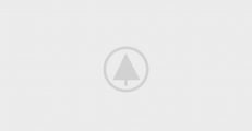wood-gallery-placeholder-5